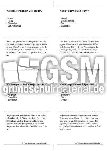 Quiz-Karten-Tiernamen 63.pdf